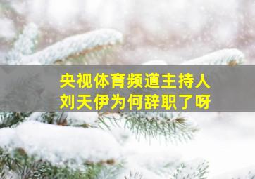 央视体育频道主持人刘天伊为何辞职了呀