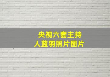 央视六套主持人蓝羽照片图片