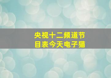 央视十二频道节目表今天电子猫