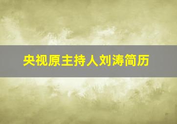 央视原主持人刘涛简历