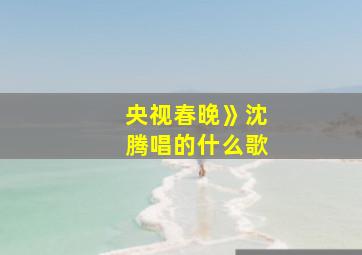 央视春晚》沈腾唱的什么歌