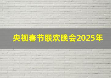 央视春节联欢晚会2025年