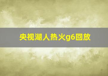 央视湖人热火g6回放