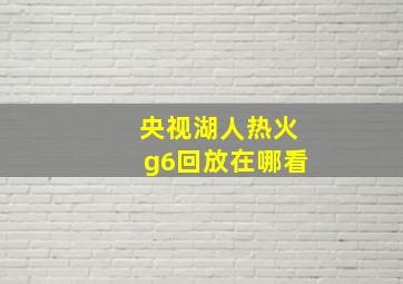 央视湖人热火g6回放在哪看