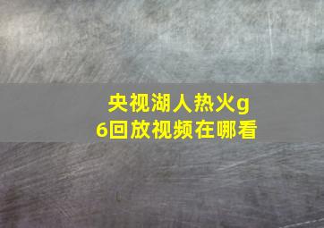 央视湖人热火g6回放视频在哪看