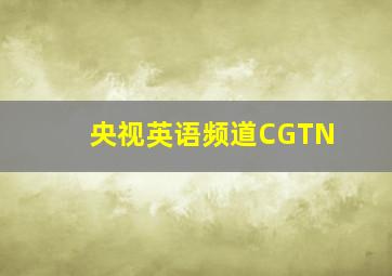 央视英语频道CGTN