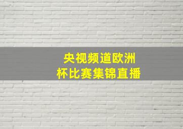 央视频道欧洲杯比赛集锦直播