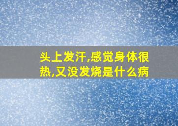 头上发汗,感觉身体很热,又没发烧是什么病