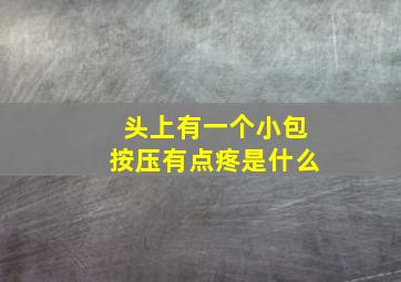 头上有一个小包按压有点疼是什么