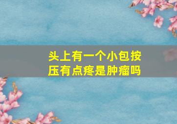 头上有一个小包按压有点疼是肿瘤吗