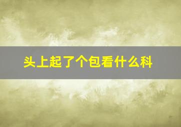 头上起了个包看什么科