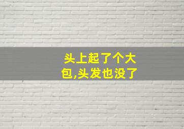 头上起了个大包,头发也没了