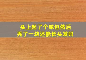 头上起了个脓包然后秃了一块还能长头发吗