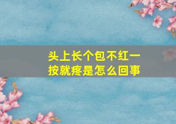 头上长个包不红一按就疼是怎么回事