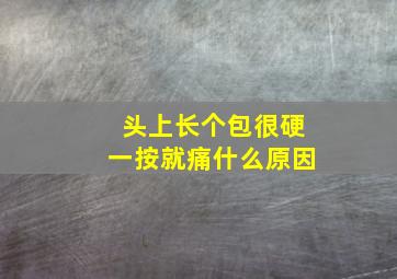 头上长个包很硬一按就痛什么原因