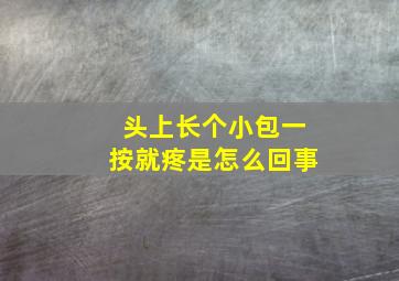 头上长个小包一按就疼是怎么回事