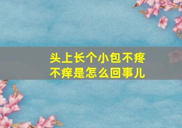 头上长个小包不疼不痒是怎么回事儿