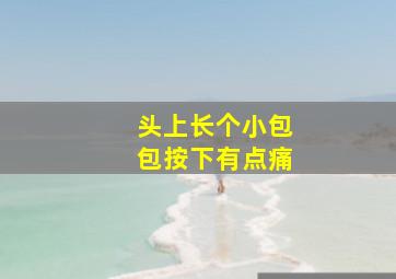 头上长个小包包按下有点痛