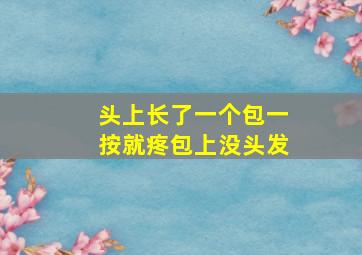 头上长了一个包一按就疼包上没头发