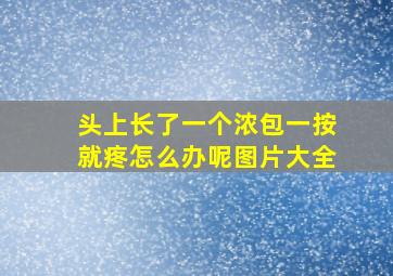 头上长了一个浓包一按就疼怎么办呢图片大全