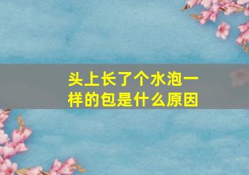 头上长了个水泡一样的包是什么原因