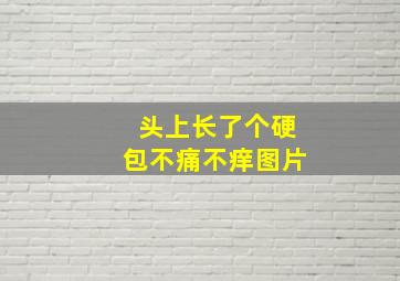 头上长了个硬包不痛不痒图片