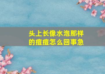 头上长像水泡那样的痘痘怎么回事急