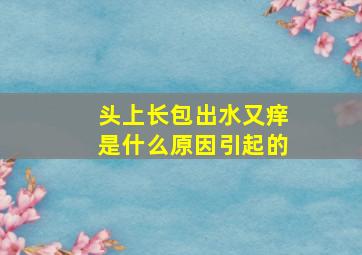 头上长包出水又痒是什么原因引起的