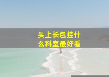 头上长包挂什么科室最好看