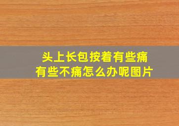 头上长包按着有些痛有些不痛怎么办呢图片