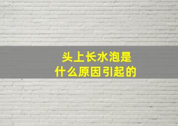 头上长水泡是什么原因引起的