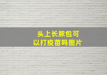 头上长脓包可以打疫苗吗图片