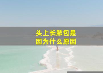 头上长脓包是因为什么原因