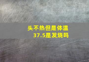 头不热但是体温37.5是发烧吗