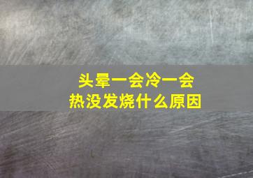 头晕一会冷一会热没发烧什么原因