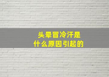 头晕冒冷汗是什么原因引起的