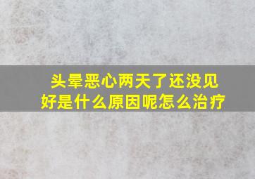 头晕恶心两天了还没见好是什么原因呢怎么治疗