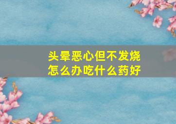 头晕恶心但不发烧怎么办吃什么药好