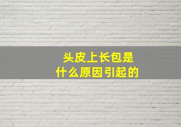 头皮上长包是什么原因引起的