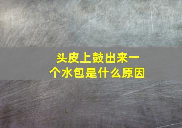 头皮上鼓出来一个水包是什么原因