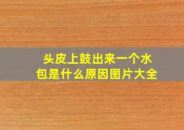 头皮上鼓出来一个水包是什么原因图片大全