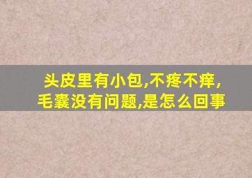 头皮里有小包,不疼不痒,毛囊没有问题,是怎么回事