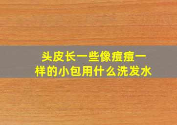 头皮长一些像痘痘一样的小包用什么洗发水