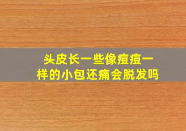 头皮长一些像痘痘一样的小包还痛会脱发吗