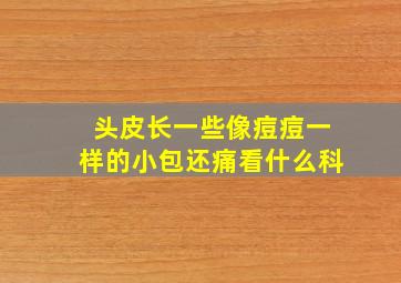 头皮长一些像痘痘一样的小包还痛看什么科