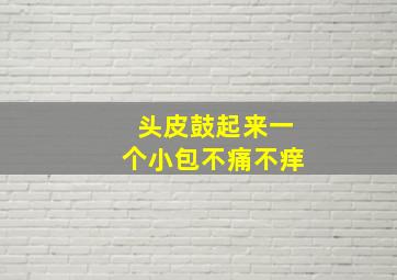 头皮鼓起来一个小包不痛不痒