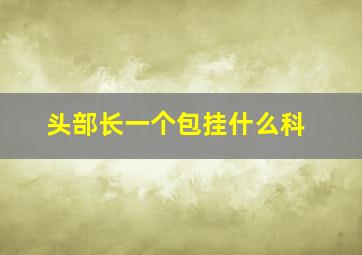 头部长一个包挂什么科