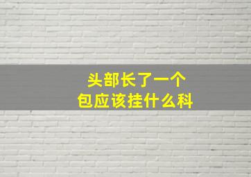 头部长了一个包应该挂什么科