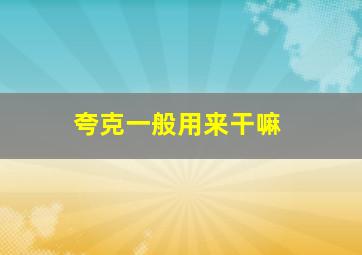 夸克一般用来干嘛