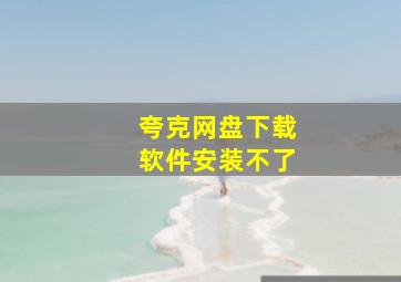 夸克网盘下载软件安装不了